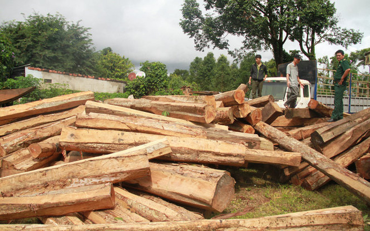 4 năm, 9.600ha rừng ở Gia Lai 