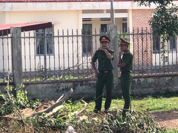 Voi nhà đang vào mùa động dục quật chết nài voi - Ảnh 2.