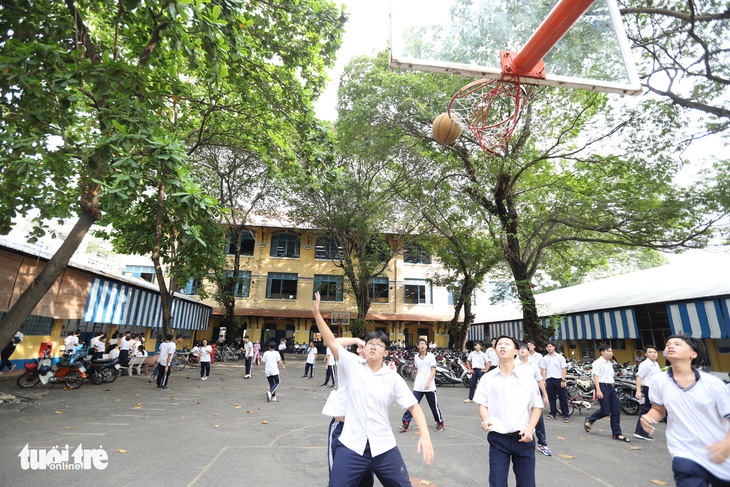 Cây đổ lộ ra thêm chuyện quản lý cây xanh trong trường học - Ảnh 1.