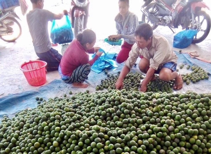 Những người trẻ lội ngược dòng ở miền Tây - Kỳ 6: Bỏ xí nghiệp, xuống ruộng làm cậu chủ - Ảnh 3.