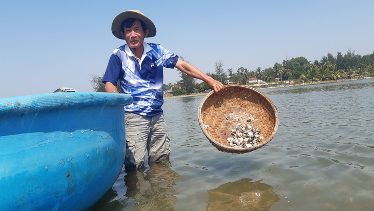 Nghêu nuôi của dân chết trắng trên sông Trường Giang - Ảnh 1.