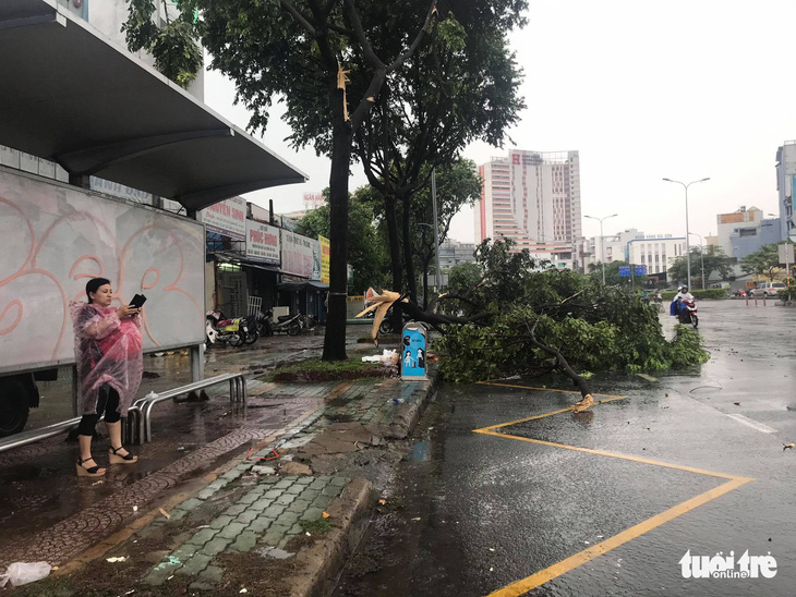 TP.HCM: Mưa lớn nước chảy như lũ trên phố, cây gãy cành đè người đi đường - Ảnh 6.