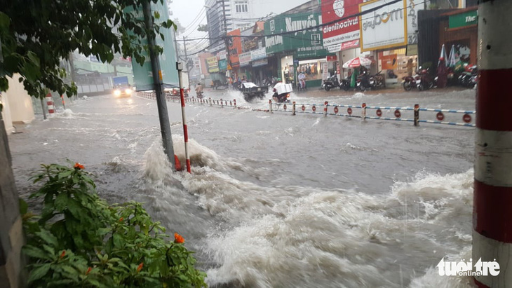 TP.HCM: Mưa lớn nước chảy như lũ trên phố, cây gãy cành đè người đi đường - Ảnh 4.