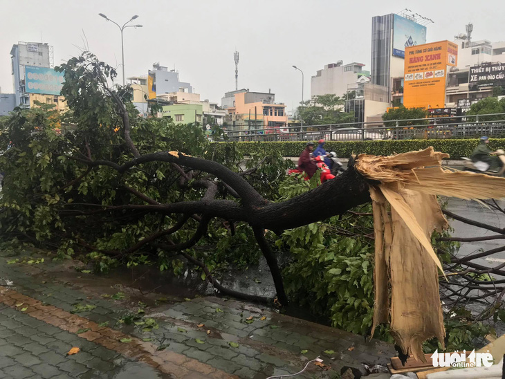 TP.HCM: Mưa lớn nước chảy như lũ trên phố, cây gãy cành đè người đi đường - Ảnh 7.