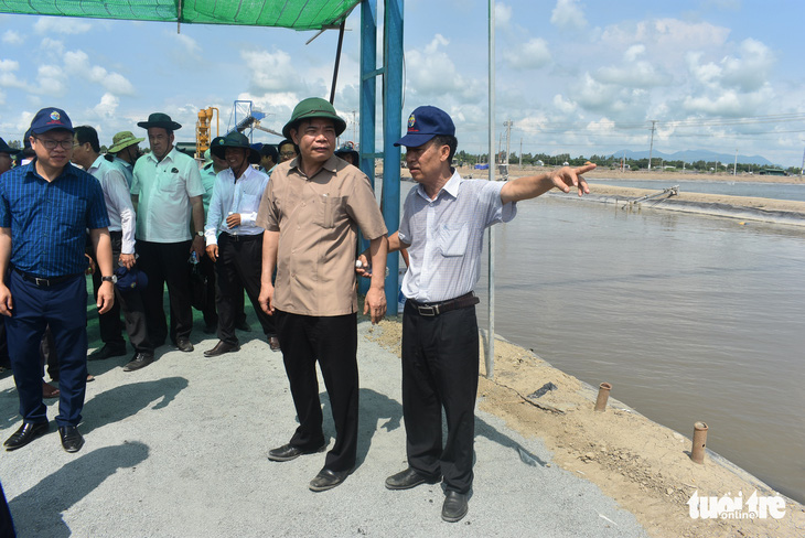 Tìm giải pháp ‘cứu’ cá tra trong thời đại dịch COVID-19 - Ảnh 1.