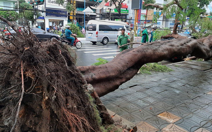 Một phụ nữ ở Cần Thơ đang làm đồng bị sét đánh chết