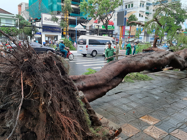 Một phụ nữ ở Cần Thơ đang làm đồng bị sét đánh chết - Ảnh 1.