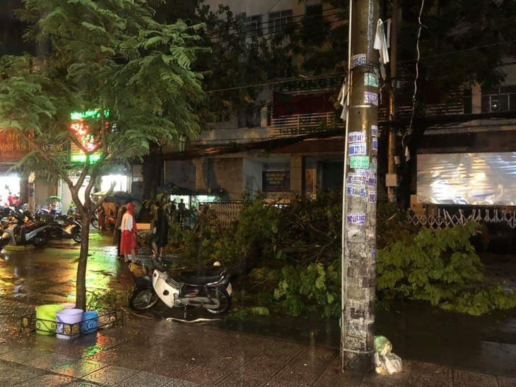Cây xanh đường Tô Hiến Thành, TP.HCM tét nhánh trong mưa đè chết người - Ảnh 1.