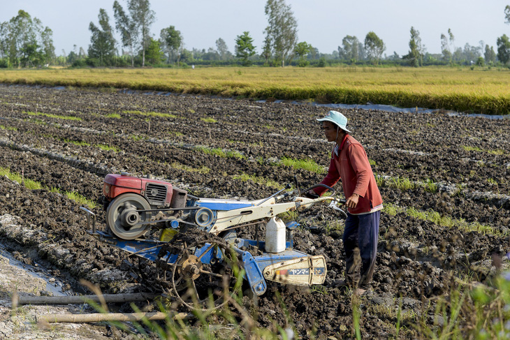 Không sửa sớm Luật thuế 71: thiệt hại cả tỉ USD, doanh nghiệp, nông dân thiệt - Ảnh 1.