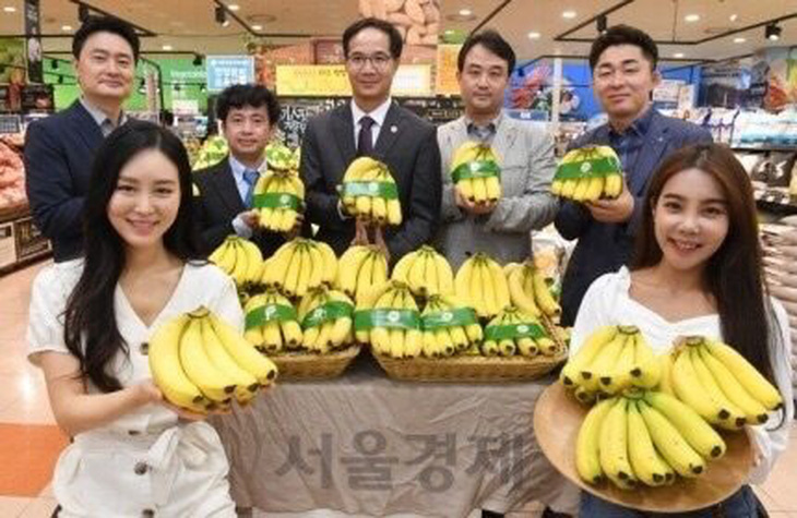 Siêu thị Lotte Mart đưa chuối Việt Nam vào bán tại Hàn Quốc - Ảnh 1.