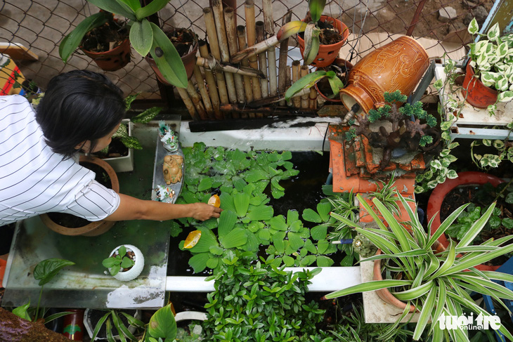 Khu vườn xanh độc đáo được làm từ vật dụng vứt ngoài đường ở Sài Gòn - Ảnh 4.