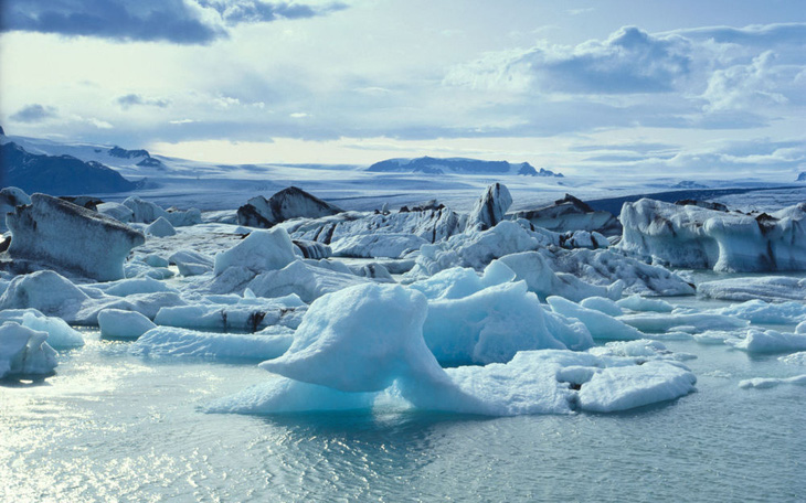 Động vật có vỏ ở Bắc Băng Dương có thể sẽ tuyệt chủng trong 80 năm tới