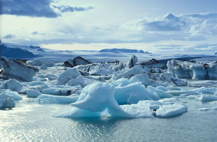 Động vật có vỏ ở Bắc Băng Dương có thể sẽ tuyệt chủng trong 80 năm tới - Ảnh 1.