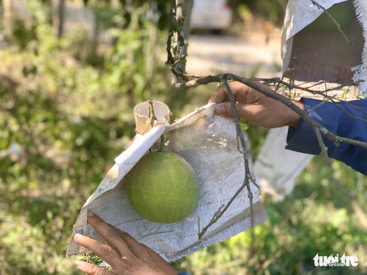 Đồng ruộng nứt toác vì nắng hạn, nông dân ngồi trên lửa - Ảnh 7.