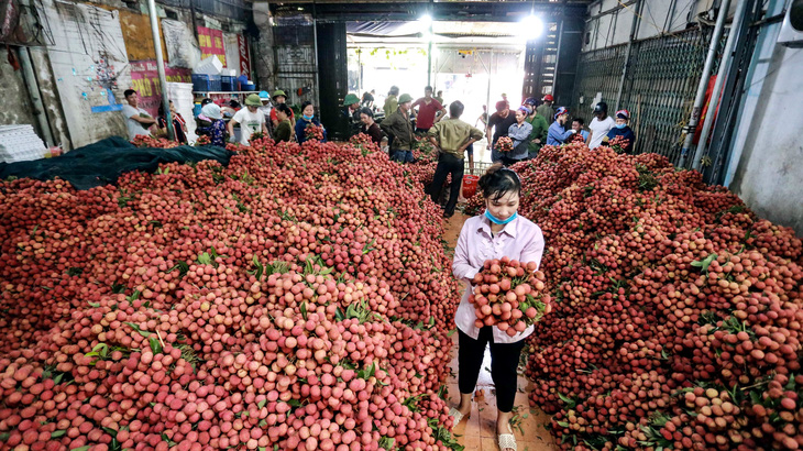 6 tháng đầu năm 2019, nông sản qua Trung Quốc giảm mạnh, tại sao? - Ảnh 1.