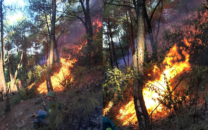 Cháy rừng lan ra 3 huyện, cả ngàn người dập lửa