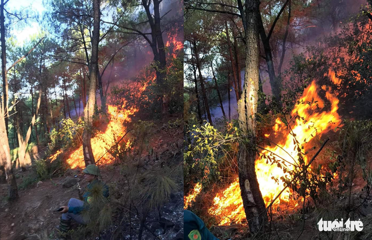 Cháy rừng lan ra 3 huyện, cả ngàn người dập lửa - Ảnh 1.