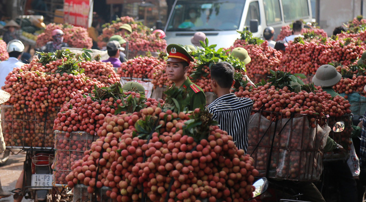 Đề xuất cho thương nhân Trung Quốc mua vải thiều được miễn phí ăn, ở trong 14 ngày cách ly - Ảnh 1.