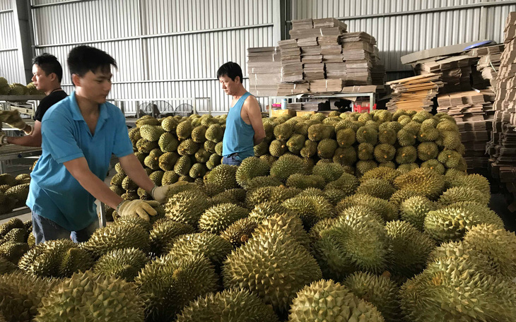 Cước hàng không làm khó... trái cây - Ảnh 1.