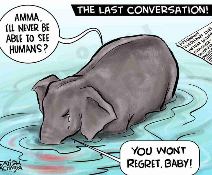 Đau đớn khi xem tranh vẽ voi mẹ mang thai bị giết bằng thuốc nổ - Ảnh 1.
