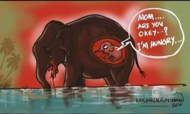 Đau đớn khi xem tranh vẽ voi mẹ mang thai bị giết bằng thuốc nổ - Ảnh 2.