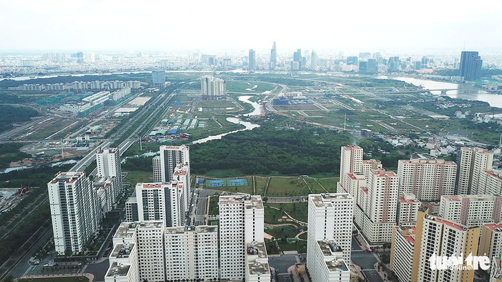 Chọn hình tượng lá dừa nước để thiết kế cầu đi bộ qua sông Sài Gòn - Ảnh 1.