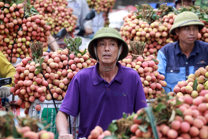 Vải thiều Lục Ngạn liên tục tăng giá, hiện giờ 50.000 đồng/kg - Ảnh 1.