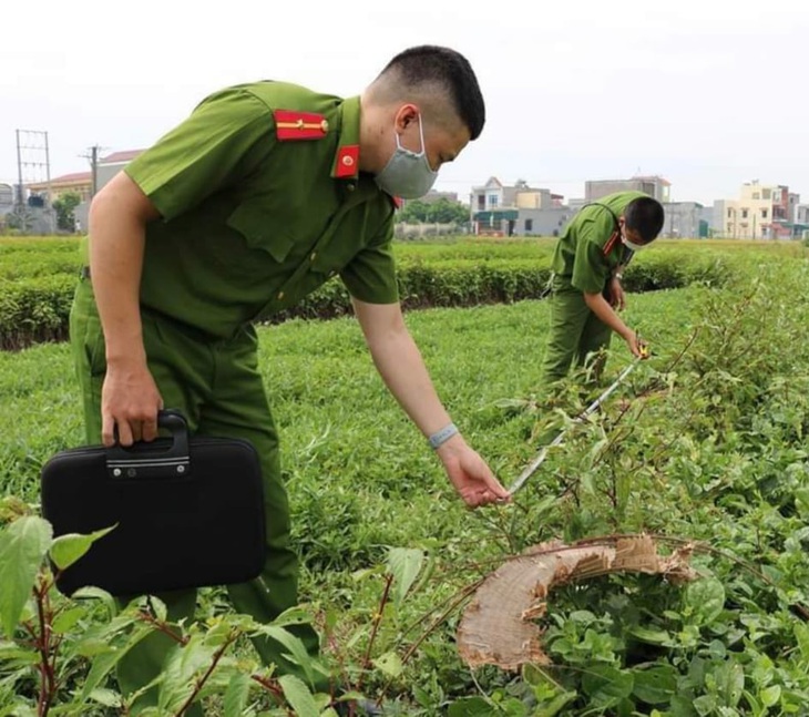 Bị sét đánh chết khi đang cắt rau - Ảnh 1.