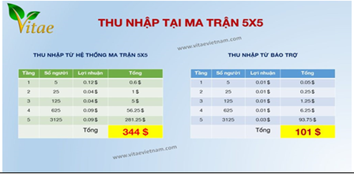 Điểm mặt sàn thương mại điện tử tràn tầng, đa cấp thời đại 4.0 kinh doanh đa cấp trái phép - Ảnh 1.