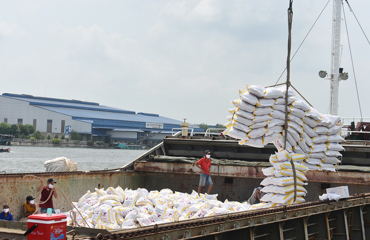 80.000 tấn gạo miễn thuế sẽ được xuất khẩu vào EU mỗi năm - Ảnh 1.