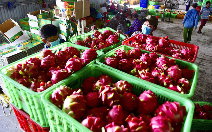 Nông sản Việt sẵn sàng vào EU