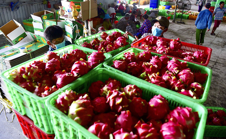 Nông sản Việt sẵn sàng vào EU - Ảnh 1.