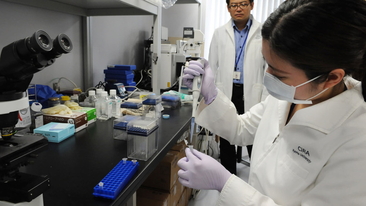 Nhật Bản sử dụng tế bào gốc đa năng trong điều trị ung thư - Ảnh 1.