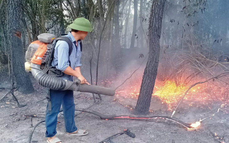 Triệu tập người phụ nữ nghi đốt rác gây cháy rừng ở Nghệ An
