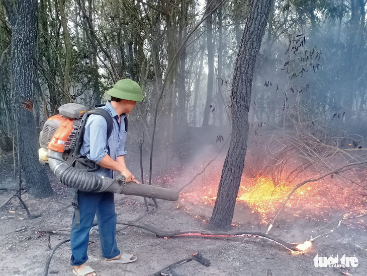 Triệu tập người phụ nữ nghi đốt rác gây cháy rừng ở Nghệ An - Ảnh 1.