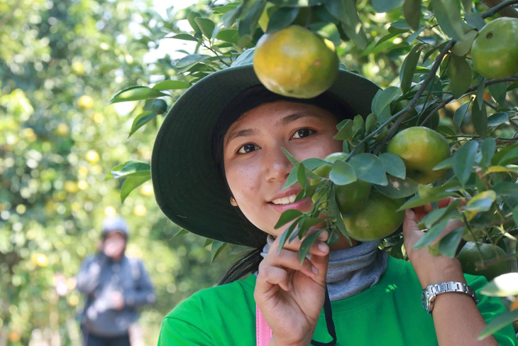 Tour một ngày không cưỡi ngựa xem hoa khám phá Đồng Tháp - Ảnh 2.