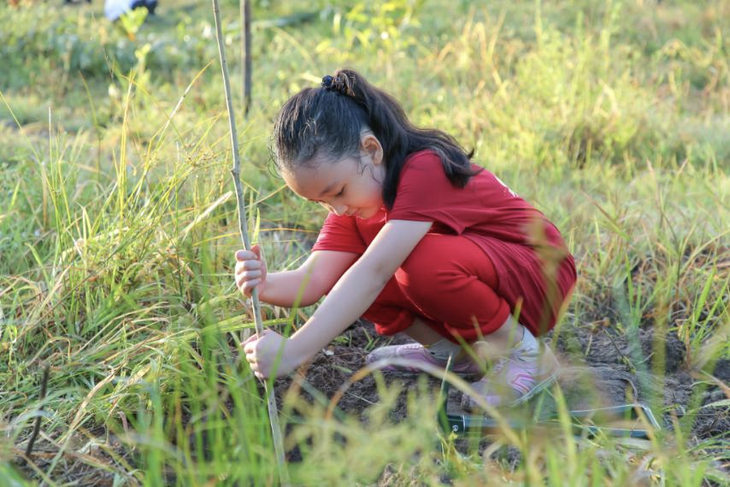Giáo dục trẻ yêu thiên nhiên qua hoạt động trồng cây gây rừng - Ảnh 1.