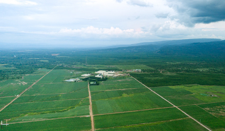 TTC Sugar tiếp tục mở rộng vùng nguyên liệu trồng mía organic tại Lào - Ảnh 2.