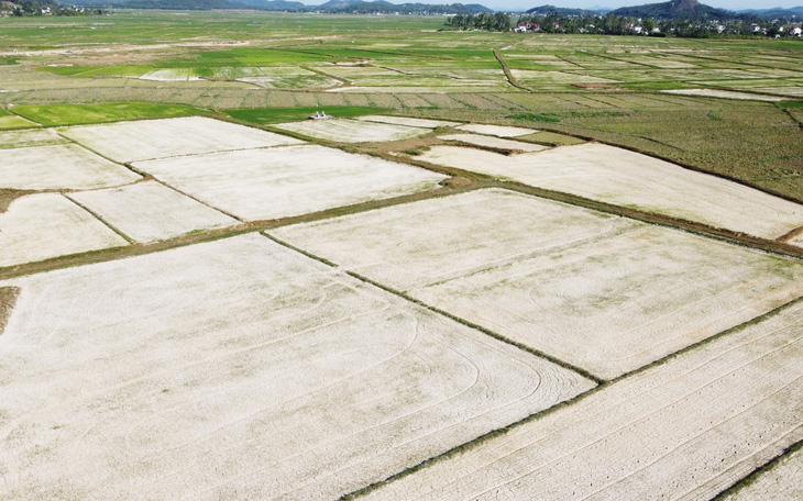 Bắc Trung Bộ nóng nhất 50 năm, gần 26.000ha lúa bị hạn