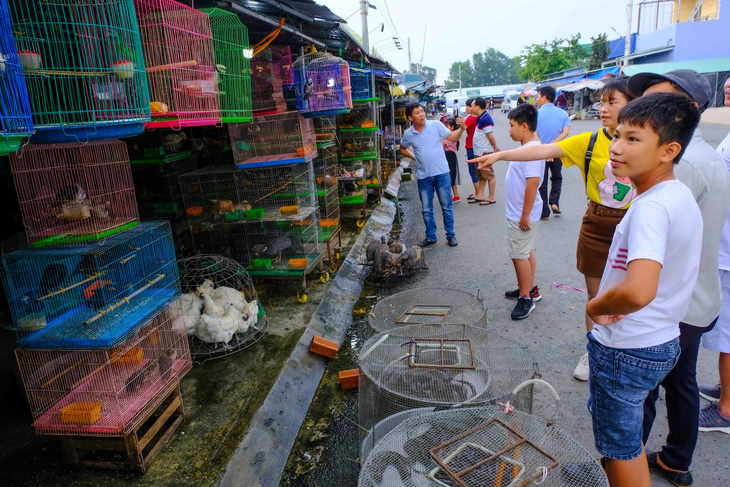 Nói không với động vật hoang dã - Ảnh 1.