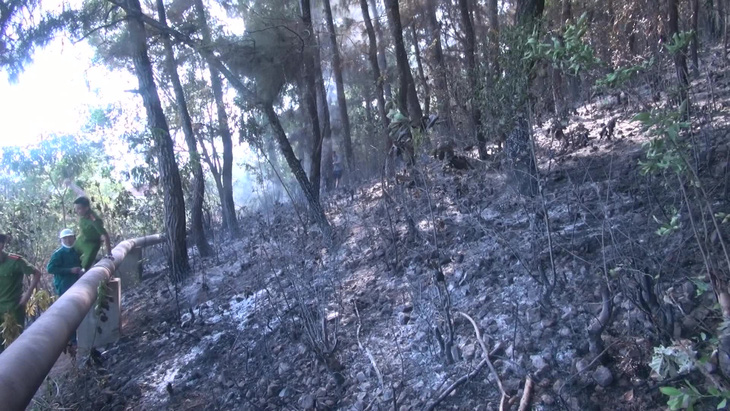 Hơn 300 người mới dập được đám cháy rừng nghi do đốt rác gây nên - Ảnh 3.
