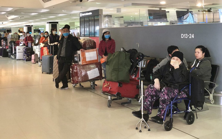 Thêm hơn 350 người Việt từ Úc, New Zealand về tới Tân Sơn Nhất