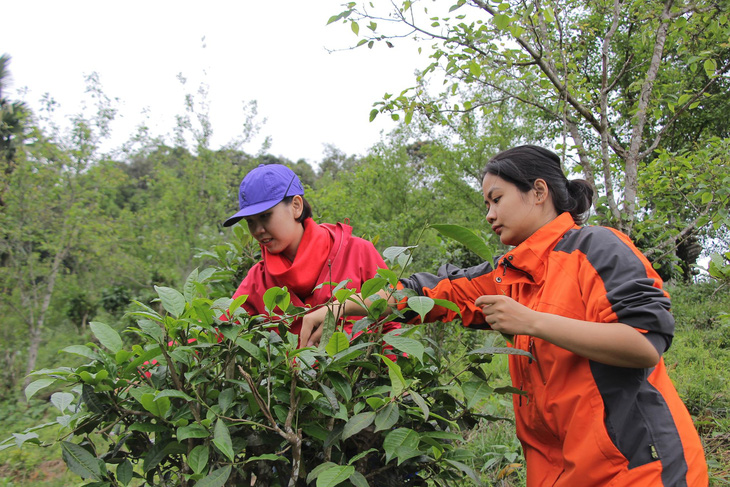 Những cô bé xứ Tuyên tuyệt vời - Ảnh 1.