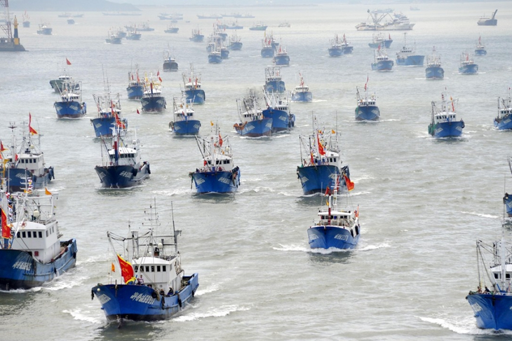 Vét sạch mực ở biển Nam Mỹ, Bắc Kinh áp đặt luôn lệnh cấm đánh bắt - Ảnh 1.