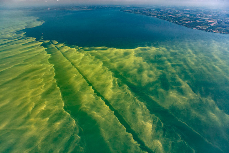Hồ núi tại Mỹ chuyển màu do tảo diệp lục xâm lấn - Ảnh 1.