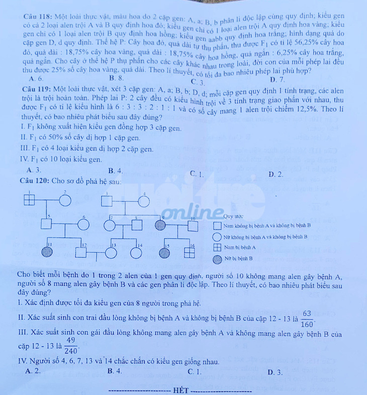 Đề và bài giải môn sinh kỳ thi tốt nghiệp THPT 2020 - đủ 24 mã đề - Ảnh 4.