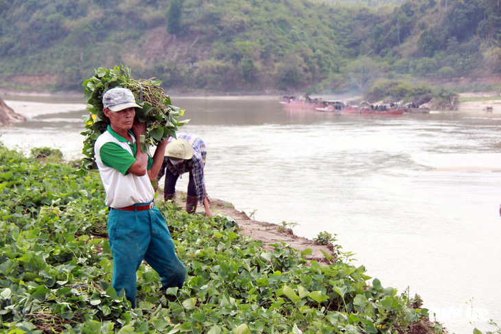 Thêm 40 tỉ đồng vá sông Krông Nô đang sạt lở trầm trọng - Ảnh 2.