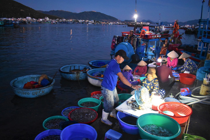 Cảng cá giữ an toàn trong mùa dịch - Ảnh 1.