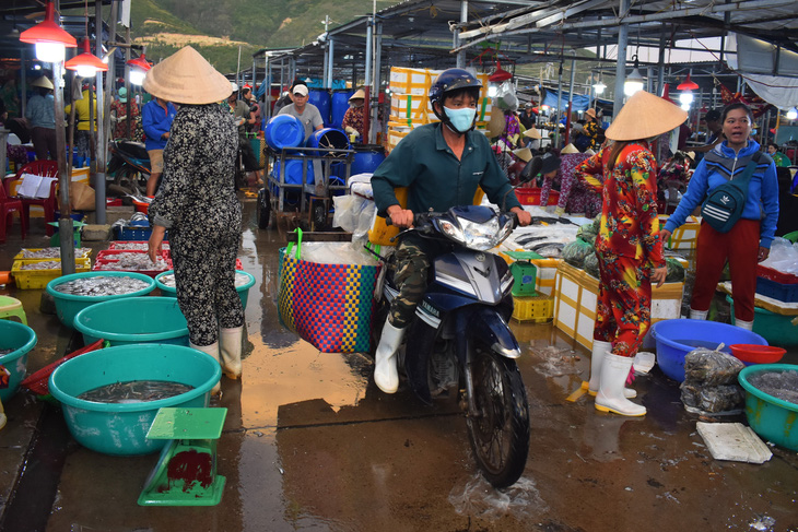 Cảng cá giữ an toàn trong mùa dịch - Ảnh 8.