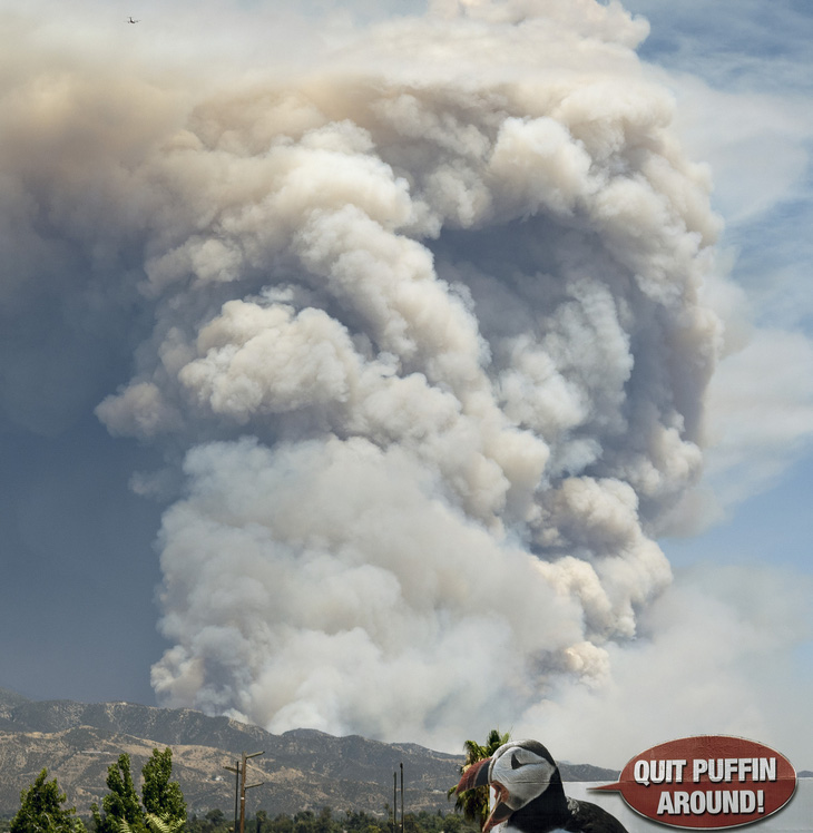 Cháy rừng ở Nam California, gần 8.000 người sơ tán - Ảnh 5.